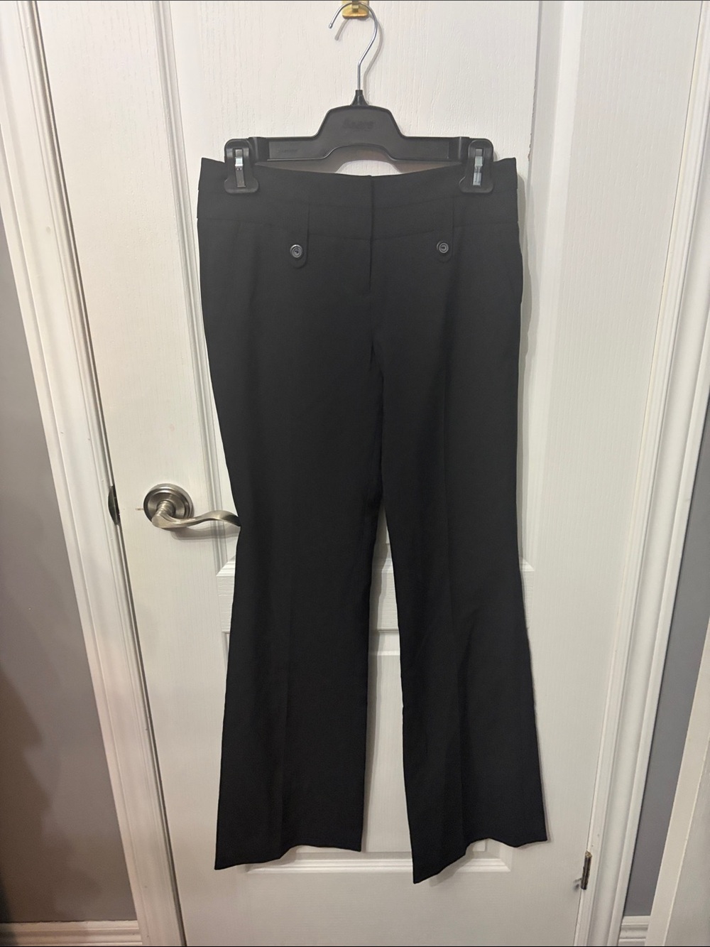 Suzie Sheer Women's Dress Pants